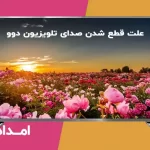 قطع شدن صدای تلویزیون دوو